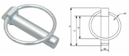 Linch-pin